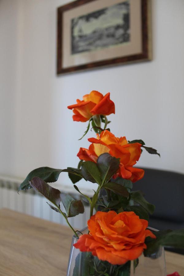 פורץ Apartment Dekovic מראה חיצוני תמונה